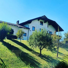 Hotels in Feistritz An Der Drau